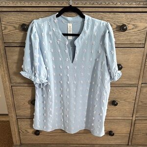 Light Blue Blouse with White Floral Embroidery